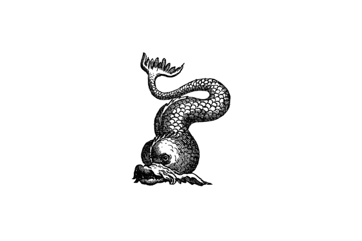 Vintage style sea serpent.